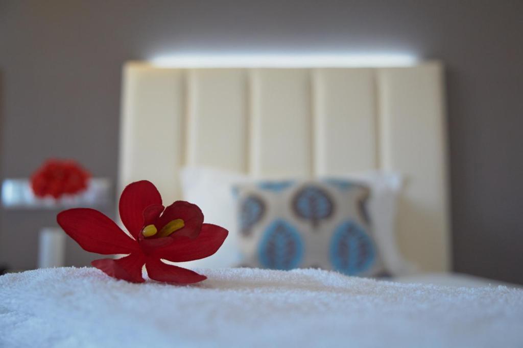Hotel Azinheira By Ridan Hotels فاطمة الغرفة الصورة